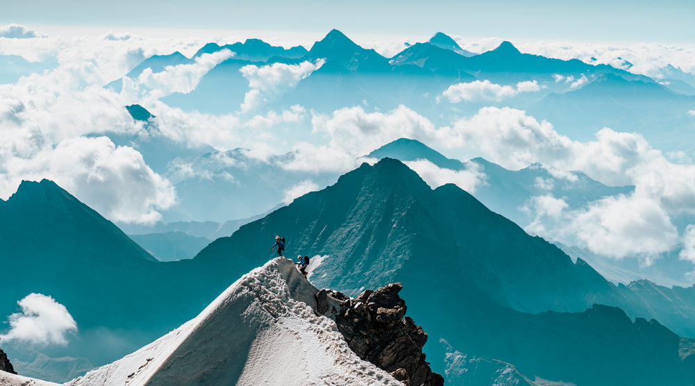 Fred et Benjamin - UTMG