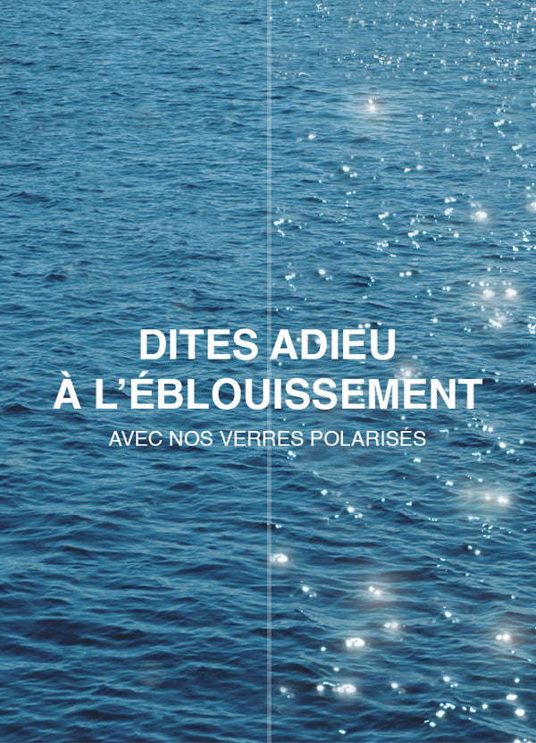 NOS VERRES POLARISÉS